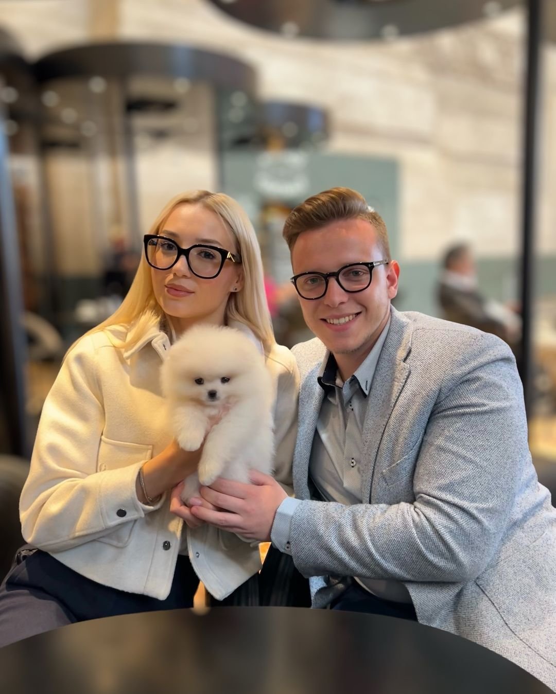 Affordable Cream Dachshund Puppies in Switzerland: Top 5 Spots!
