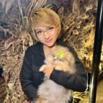 Where is the best place to buy Pomeranian puppies for sale in Indiana