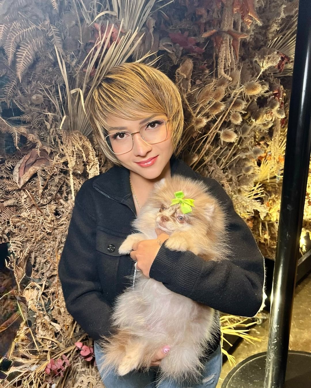 Where is the best place to buy Pomeranian puppies for sale in Indiana