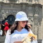 What should I consider when looking for Teacup Pomeranian breeders in Maine?
