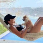 What should I consider when looking for Teacup Pomeranian breeders in Kentucky?