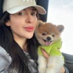 What should I consider when buying a Miniature Pomeranian puppy in West Virginia?