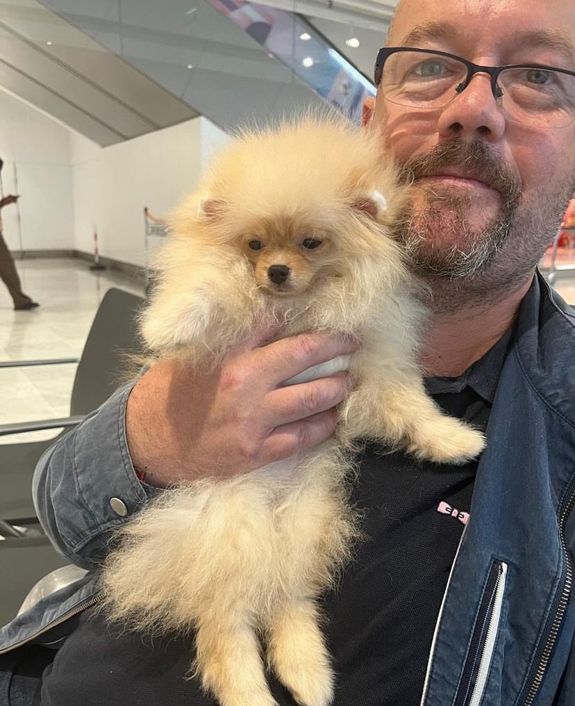 What should I consider when buying a Miniature Pomeranian puppy in New Jersey?