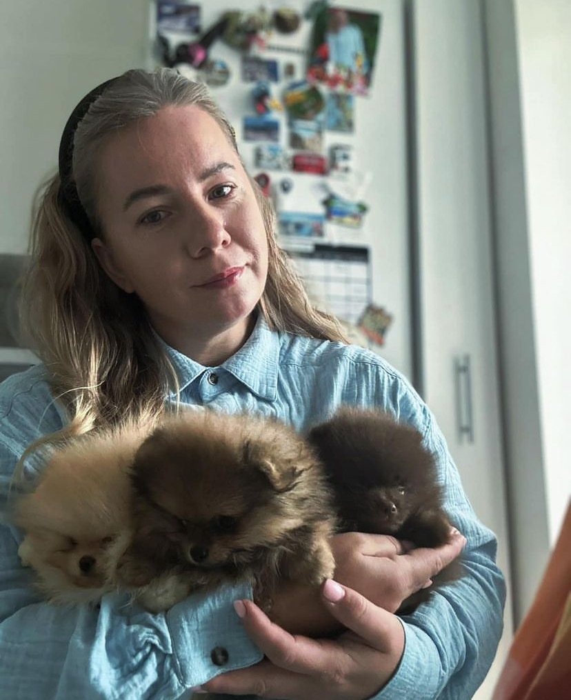 Miniature Pomeranian Puppies for Sale in North Dakota