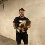 What should I look for when buying a Teacup Pomeranian in Montana
