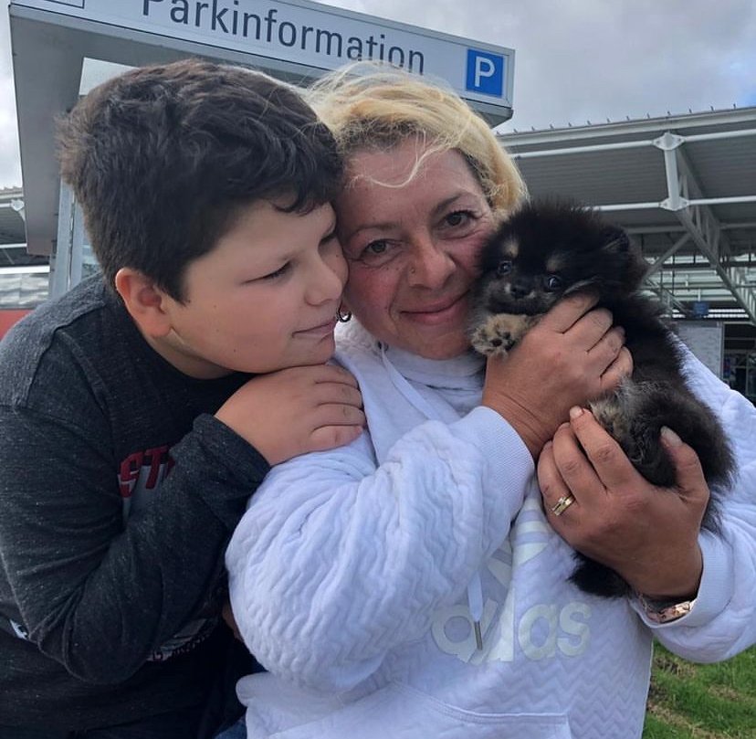 Find Dapple Dachshund for Sale Central Coast (NSW): 5 Best Spots