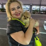 Where can I find Teacup Pomeranian puppies for sale in South Dakota