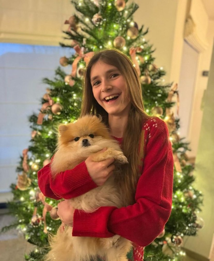 Teacup Pomeranian Puppies for Sale in Montana