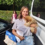 Pomeranian Breeders in Rhode Island