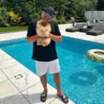 Pomeranian Breeders in Texas