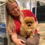 Miniature Pomeranian Breeders in Louisiana