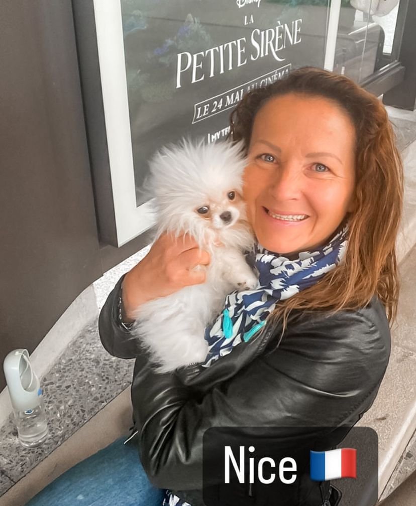 How can I find a reliable Pomeranian breeder in Vermont?