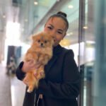 Miniature Pomeranian Breeders in Iowa