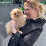 How can I identify a reliable Pomeranian breeder in Virginia?