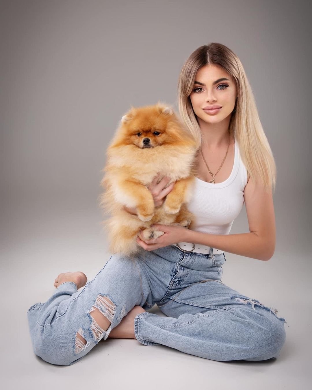 Pomeranian Puppies for Sale in Kansas