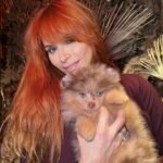 What should I consider when looking for Miniature Pomeranian breeders in Georgia?
