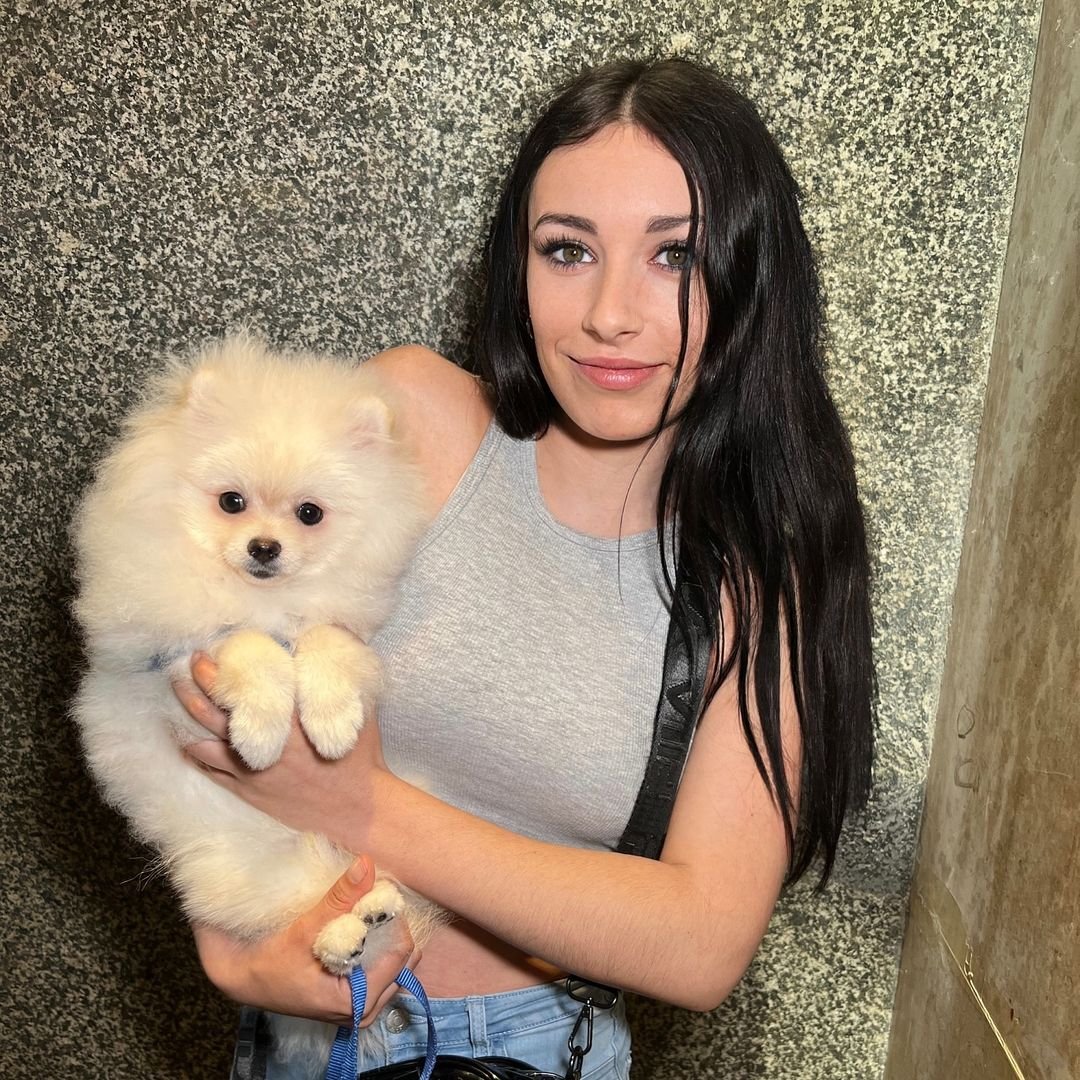 What should I consider when looking for Miniature Pomeranian breeders in Florida?