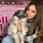 What should I consider when looking for Miniature Pomeranian breeders in Colorado?